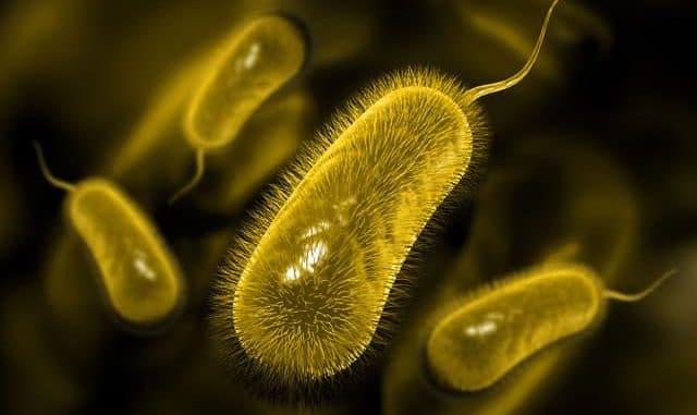 XÉT NGHIỆM TÌM VI KHUẨN HELICOBACTER PYLORI 